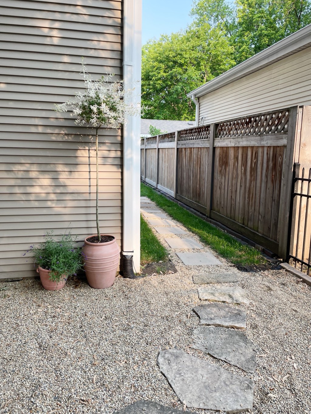 It’s giving…Mediterranean Olive&nbsp;Groves